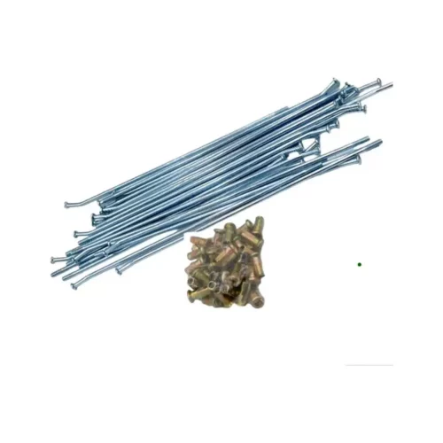 Rayos Traseros KL650