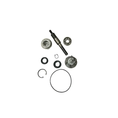Kit Bomba Agua OOK